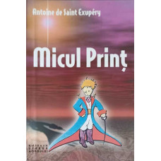 MICUL PRINT