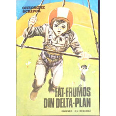 FAT-FRUMOS DIN DELTA PLAN