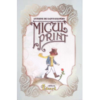MICUL PRINT