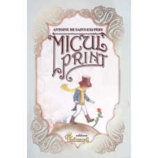 MICUL PRINT