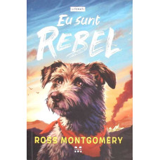 EU SUNT REBEL