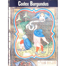 CODEX BURGUNDUS