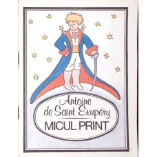 MICUL PRINT