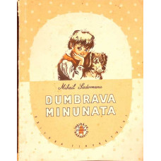 DUMBRAVA MINUNATA