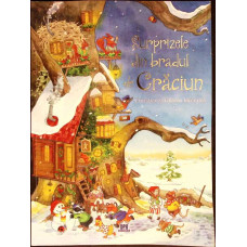 SURPRIZELE DIN BRADUL DE CRACIUN
