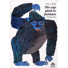 DIN CAP PANA IN PICIOARE