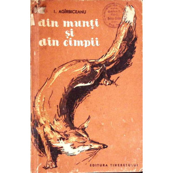 DIN MUNTI SI DIN CAMPII