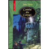 CASTELUL DIN CARPATI