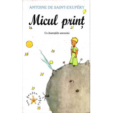 MICUL PRINT