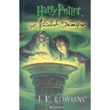 HARRY POTTER SI PRINTUL SEMIPUR VOL.6