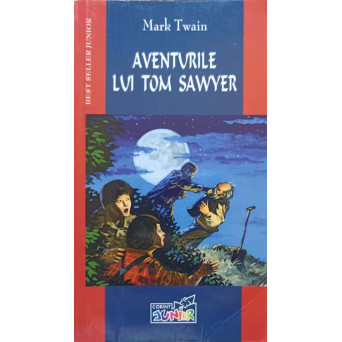 AVENTURILE LUI TOM SAWYER