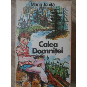 CALEA DOMNITEI