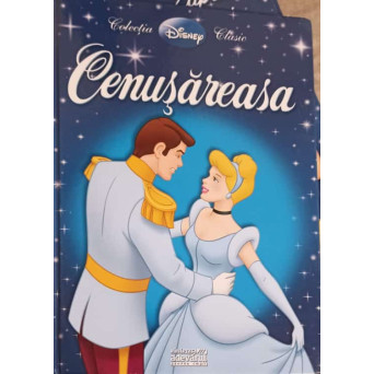 CENUSAREASA