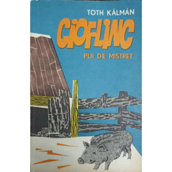 CIOFLINC, PUI DE MISTRET