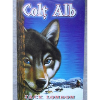 COLT ALB
