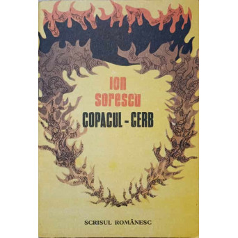 COPACUL-CERB