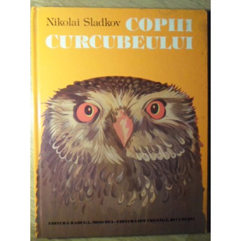COPIII CURCUBEULUI