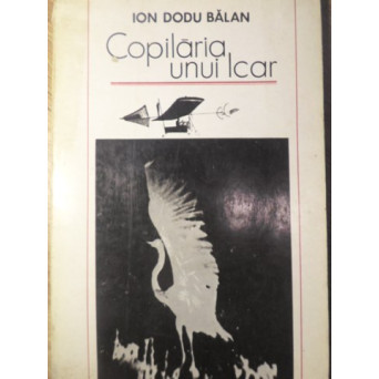 COPILARIA UNUI ICAR