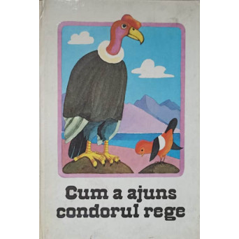 CUM A AJUNS CONDORUL REGE. POVESTIRI INDIENE