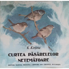 CURTEA PASARELELOR NETEMATOARE