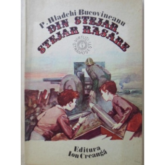 DIN STEJAR, STEJAR RASARE