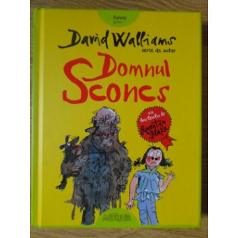 DOMNUL SCONCS