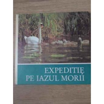 EXPEDITIE PE IAZUL MORII