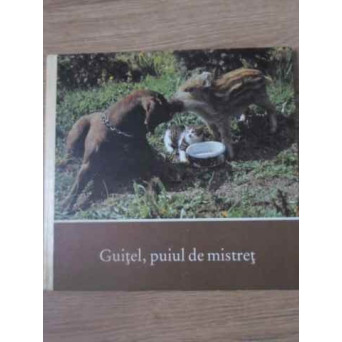 GUITEL, PUIUL DE MISTRET