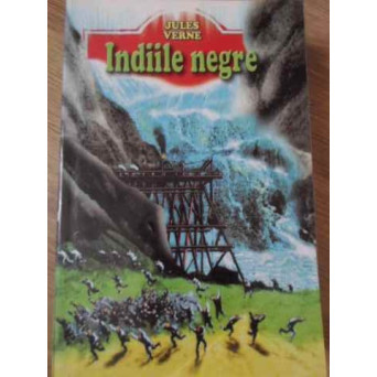 INDIILE NEGRE
