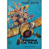 INSIGNA DE PILOT INSIGNA DE PILOT