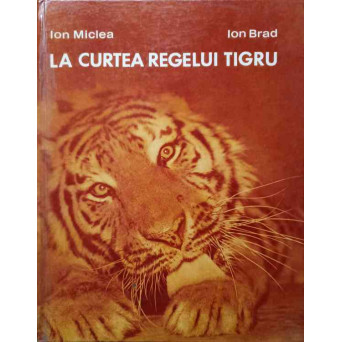 LA CURTEA REGELUI TIGRU