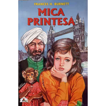 MICA PRINTESA