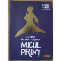 MICUL PRINT MICUL PRINT
