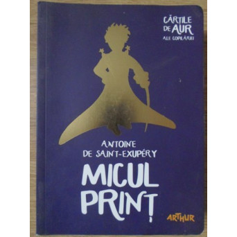 MICUL PRINT