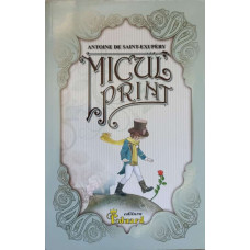 MICUL PRINT