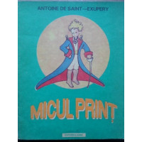 MICUL PRINT, CU DESENELE AUTORULUI MICUL PRINT, CU DESENELE AUTORULUI