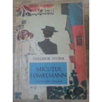 MICUTUL HAWELMANN MICUTUL HAWELMANN