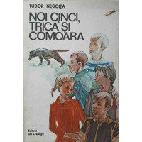 NOI CINCI, TRICA SI COMOARA NOI CINCI, TRICA SI COMOARA
