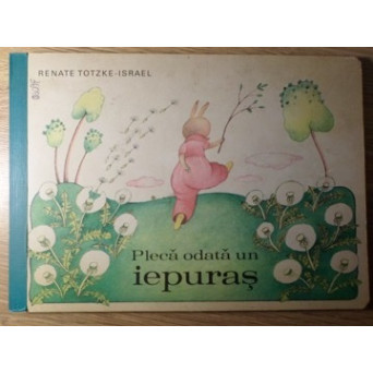PLECA ODATA UN IEPURAS