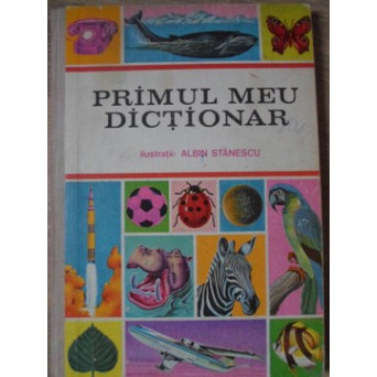 PRIMUL MEU DICTIONAR