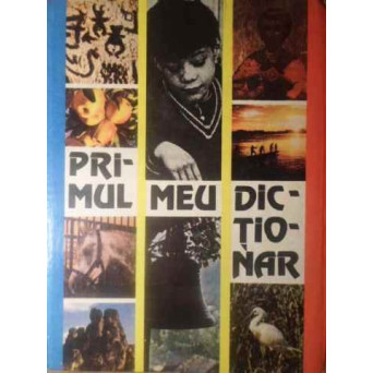 PRIMUL MEU DICTIONAR