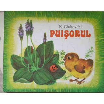 PUISORUL. CARTE 3D