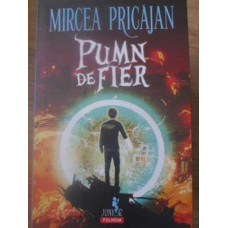 PUMN DE FIER