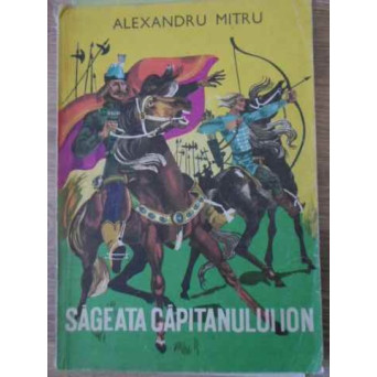 SAGEATA CAPITANULUI ION