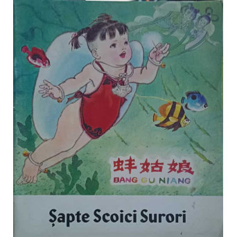SAPTE SCOICI SURORI