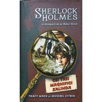 SHERLOCK HOLMES SI STRENGARII DE PE BAKER STREET