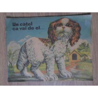 UN CATEL CA VAI DE EL...