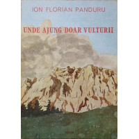 UNDE AJUNG DOAR VULTURII UNDE AJUNG DOAR VULTURII