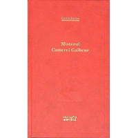 MISTERUL CAMEREI GALBENE MISTERUL CAMEREI GALBENE