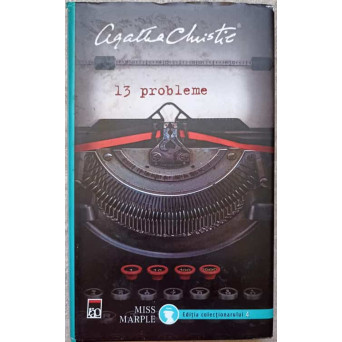 13 PROBLEME